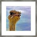 You Talkin To Me Framed Print