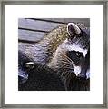 You Talking To Us? Framed Print