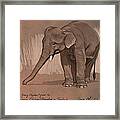 Young Asian Elephant Sketch Framed Print