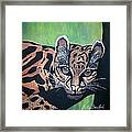 Young In Wild Framed Print