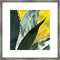 Yucca And Wildflowers Framed Print