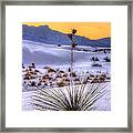 Yucca On White Sand Framed Print