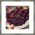Yummy Berries From Our Field Trip! They Framed Print