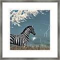 Zebra And Approaching Storm Framed Print