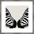 Zebra Love Framed Print