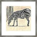 Zebra Stripes Framed Print