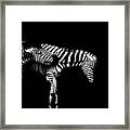 Zebra Stripes Framed Print