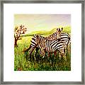 Zebras At Ngorongoro Crater Framed Print