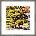 Zen Garden Framed Print