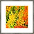 Zooming In On Autumn Framed Print