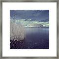 Infrared At Llyn Brenig Framed Print