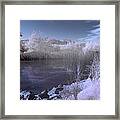 Infrared Pond Framed Print