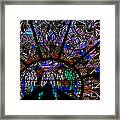 The Color Of Life Framed Print