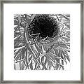 0692c-011 Framed Print