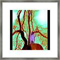 Aortic Arch Angiogram #1 Framed Print