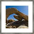 Arch In The Joshua Tree National Park #1 Framed Print