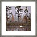 Autumn #1 Framed Print