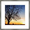 Bare Tree At Sunset Framed Print