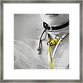 Belt Collection #1 Framed Print