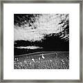 Bog Cotton Cottongrass Eriophorum Growing With Wildflowers On A Mountain Blanket Peat Bog #1 Framed Print
