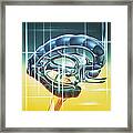 Brain Limbic System #1 Framed Print