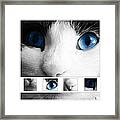 Cat #1 Framed Print