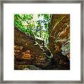 Conkles Hollow State Nature Preserve #1 Framed Print