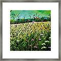 Cornflowers #1 Framed Print