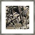 Crocs Australia Framed Print