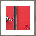 Curly #1 Framed Print