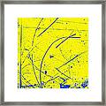 Diffusion Cloud Chamber Tracks #1 Framed Print