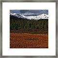 Fall In Alaska #1 Framed Print