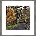 Fall In Bidwell Park #1 Framed Print