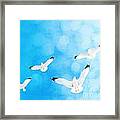 Fly Free #1 Framed Print