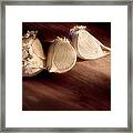 Garlic Cloves #1 Framed Print