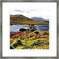 Highlands #1 Framed Print
