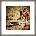 Image Created With #snapseed #newforest #1 Framed Print
