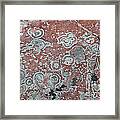 Map Lichen #1 Framed Print