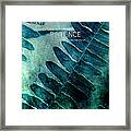 Pace Of Nature #1 Framed Print