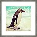 Penguin #1 Framed Print