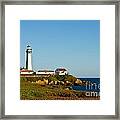Pigeon Point Lighthouse #1 Framed Print