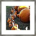 Pumpkins #1 Framed Print