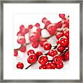 Red Christmas Berries 2 Framed Print