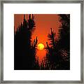 Rise And Pine #1 Framed Print