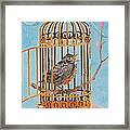 Robin Bird Framed Print