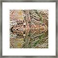 Rocky Mountain Reflections #1 Framed Print