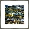 Shallow Water #1 Framed Print