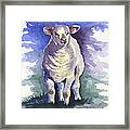 Shellies Lamb #1 Framed Print