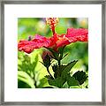 Standing Proud #1 Framed Print