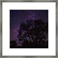 Starry Sky With Silhouetted Oak Tree #1 Framed Print